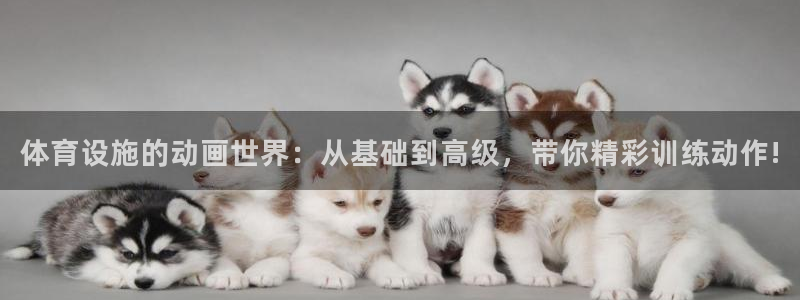 意昂体育4联系电话：体育设施的动画世界：从基础到高级
