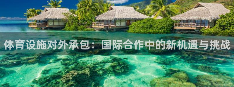 意昂体育4平台注册流程图：体育设施对外承包：国际合作
