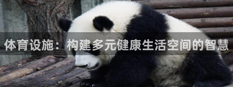 意昂平台体育：体育设施：构建多元健康生活空间的智慧