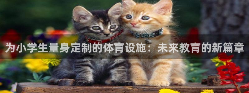 意昂体育4招商电话是多少啊：为小学生量身定制的体育设施：未来