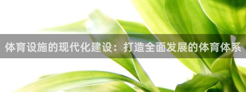 意昂体育4平台注册流程图：体育设施的现代化建设：打造全面发展