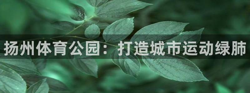 意昂体育4平台注册流程图：扬州体育公园：打造城市运动绿肺