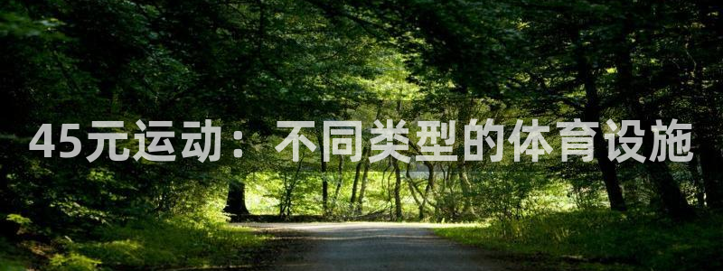 意昂体育4官方客服电话：45元运动：不同类型的体育设施