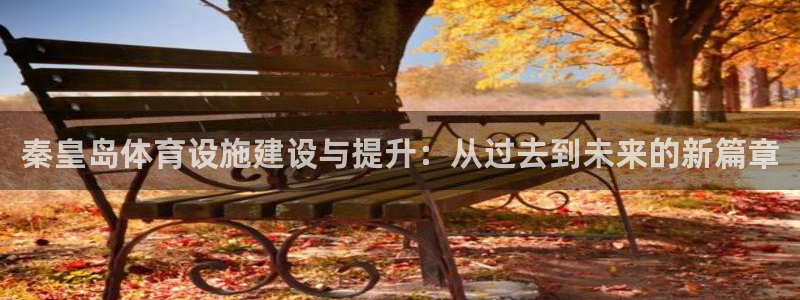 意昂4代理：秦皇岛体育设施建设与提升：从过去到未来的