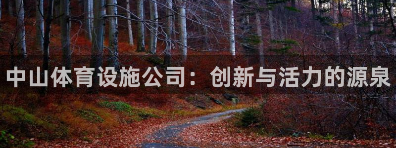 意昂体育4平台是正规平台吗知乎：中山体育设施公司：创