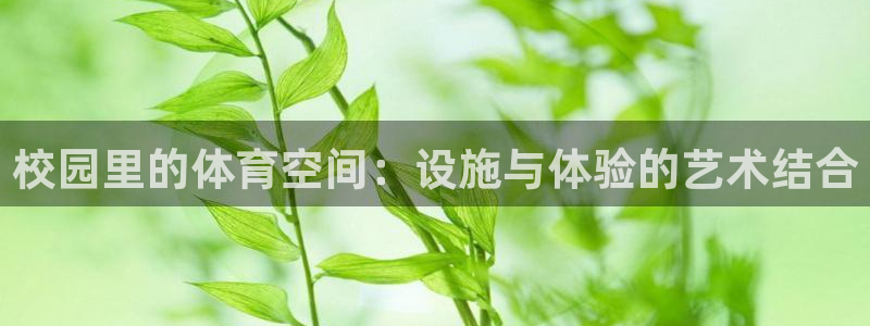 意昂体育4：校园里的体育空间：设施与体验的艺术结合