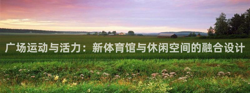 意昂体育4招商：广场运动与活力：新体育馆与休闲空间的