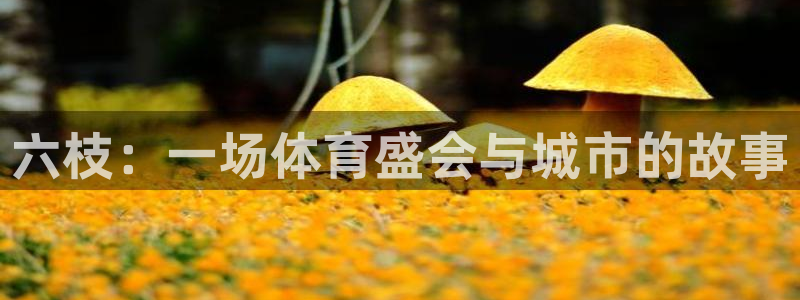 意昂体育4软件：六枝：一场体育盛会与城市的故事