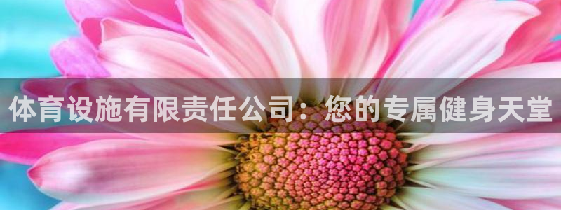 意昂4代理：体育设施有限责任公司：您的专属健身天堂