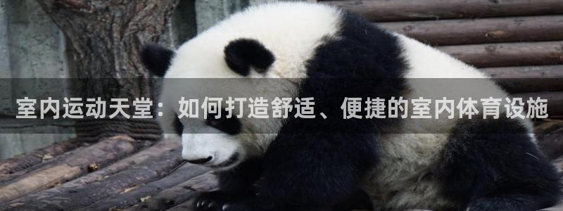 意昂体育4招商电话号码：室内运动天堂：如何打造舒适、