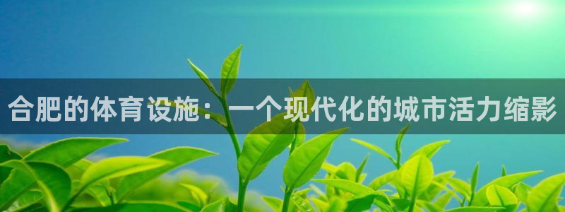 意昂4集团E.ON：合肥的体育设施：一个现代化的城市