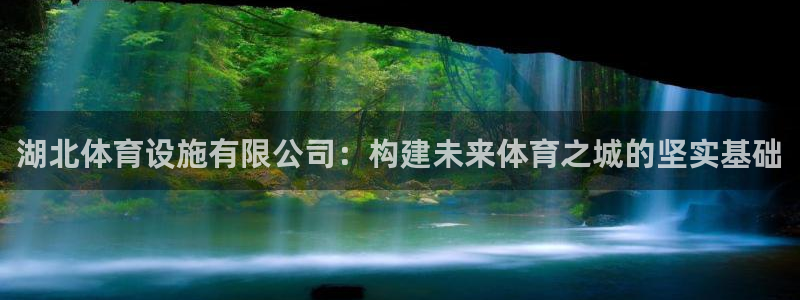 意昂4集团简介：湖北体育设施有限公司：构建未来体育之