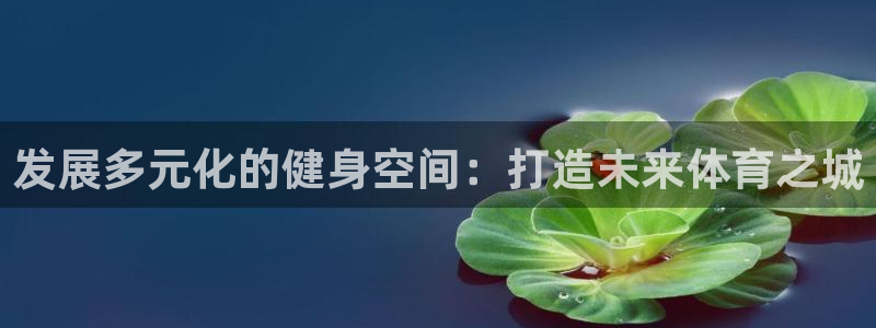 意昂4娱乐首页官网下载：发展多元化的健身空间：打造未来体育之