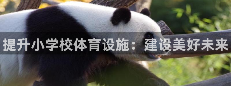 意昂体育4招商电话号码是多少号：提升小学校体育设施：建设美好