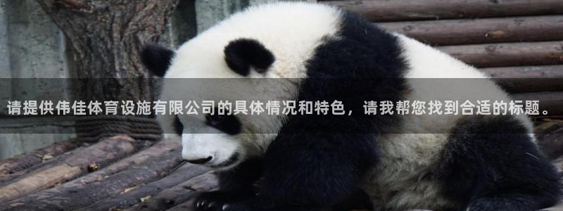 意昂4集团官网首页网址：请提供伟佳体育设施有限公司的具体情况