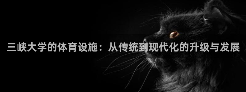 意昂体育4招商电话地址：三峡大学的体育设施：从传统到现代化的