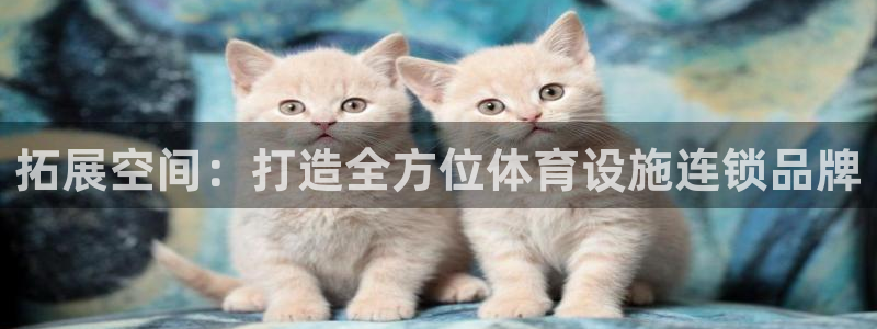 意昂体育4招商电话是多少：拓展空间：打造全方位体育设