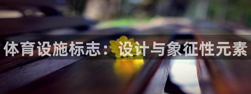 意昂体育4平台注册流程视频：体育设施标志：设计与象征