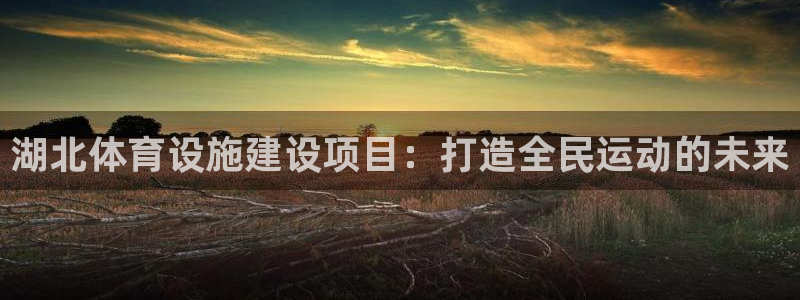 意昂体育4招商电话号码是多少：湖北体育设施建设项目：