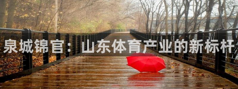 意昂体育4平台注册要钱吗：泉城锦官：山东体育产业的新
