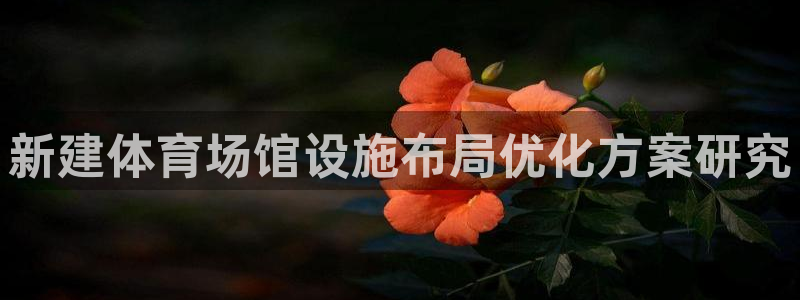 意昂体育4招商电话地址：新建体育场馆设施布局优化方案