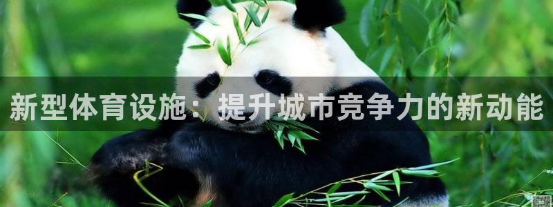 意昂体育4平台假的吗是真的吗：新型体育设施：提升城市