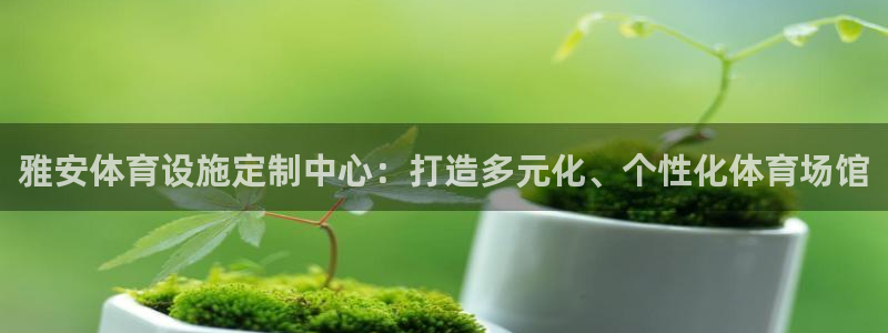 意昂4神州：雅安体育设施定制中心：打造多元化、个性化