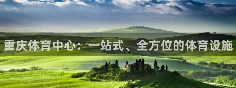 意昂4集团E.ON：重庆体育中心：一站式、全方位的体