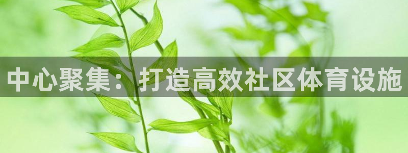 意昂体育4招商电话地址查询：中心聚集：打造高效社区体