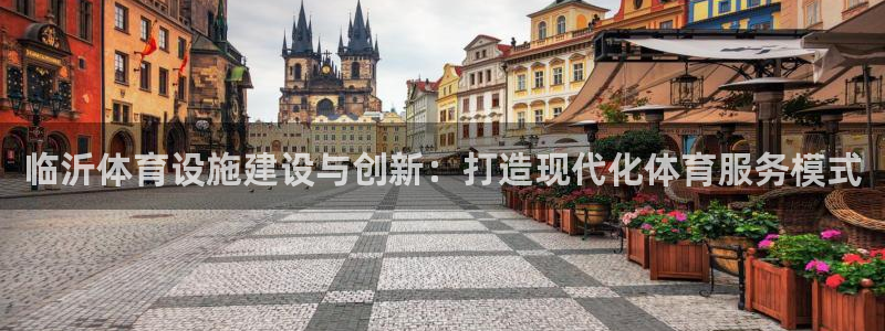 意昂4代理：临沂体育设施建设与创新：打造现代化体育服