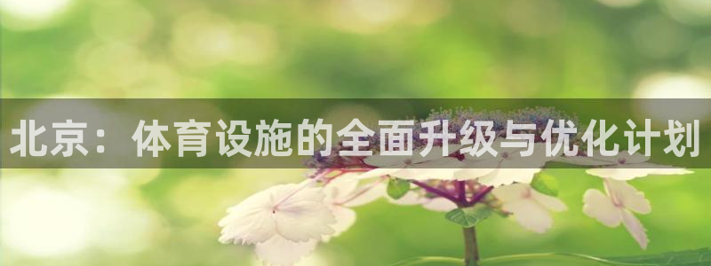 意昂体育4平台是正规平台吗