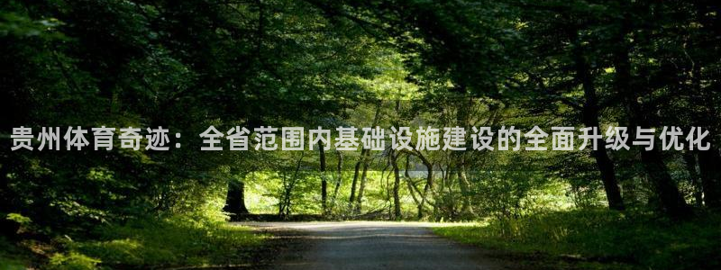 意昂体育4是干嘛的公司：贵州体育奇迹：全省范围内基础