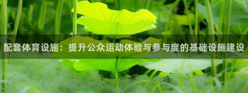 意昂体育4招商电话是多少：配套体育设施：提升公众运动体验与参