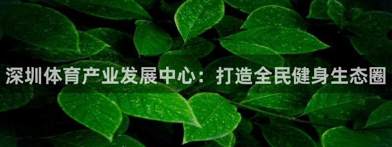 意昂体育4平台是正规平台吗知乎：深圳体育产业发展中心：打造全