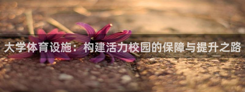 意昂体育4平台注册要钱吗：大学体育设施：构建活力校园的保障与