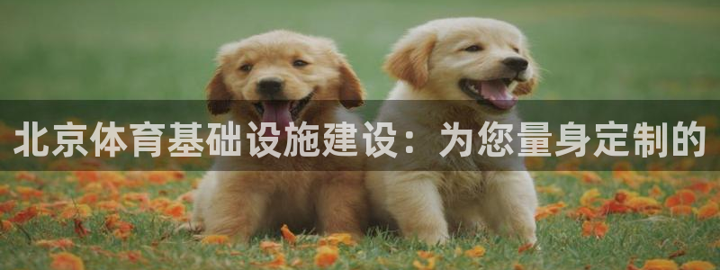 意昂4娱乐首页官网下载：北京体育基础设施建设：为您量