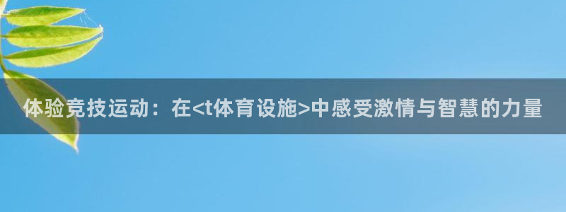意昂4五金厂：体验竞技运动：在<t体育设施>中感受激