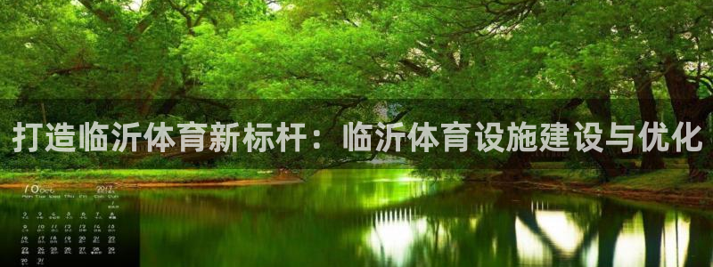 意昂4集团logo：打造临沂体育新标杆：临沂体育设施