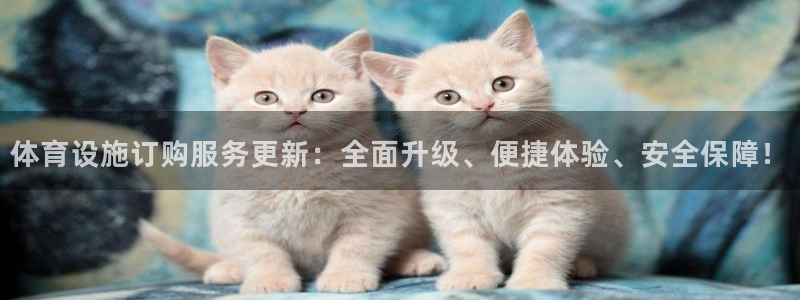 意昂4官网：体育设施订购服务更新：全面升级、便捷体验、安全保