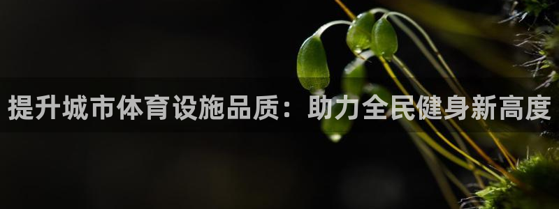 意昂4科技：提升城市体育设施品质：助力全民健身新高度