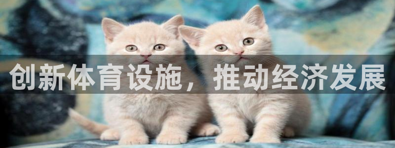 意昂体育4开户：创新体育设施，推动经济发展