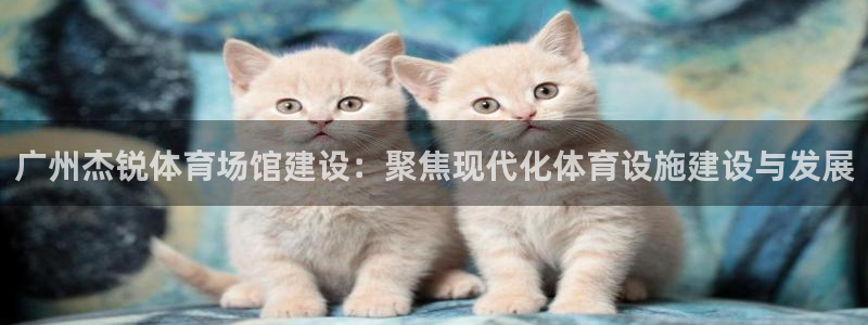 意昂体育4招商：广州杰锐体育场馆建设：聚焦现代化体育
