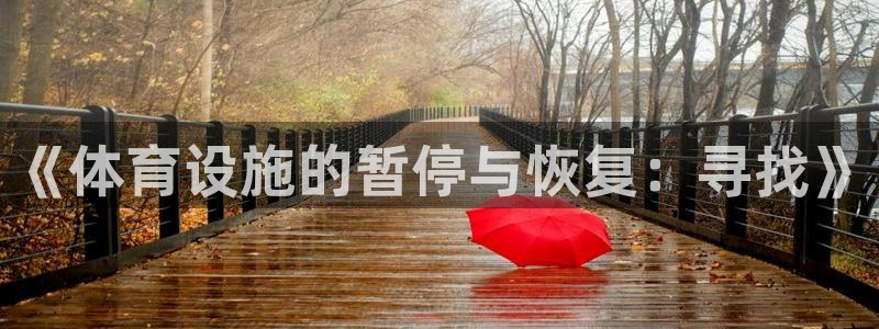德国意昂4集团：《体育设施的暂停与恢复：寻找》