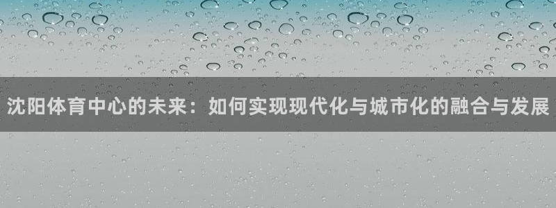 意昂4神州：沈阳体育中心的未来：如何实现现代化与城市