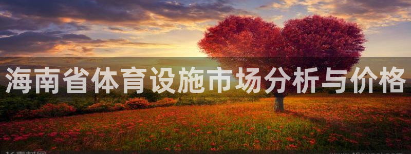意昂4娱乐代理怎么样：海南省体育设施市场分析与价格