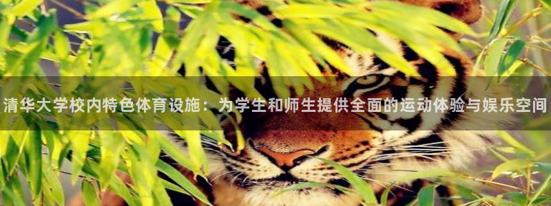 意昂体育4招商电话地址查询：清华大学校内特色体育设施