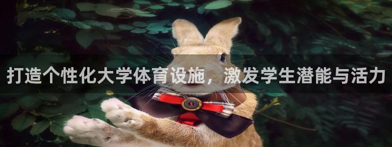 海南意昂体育4：打造个性化大学体育设施，激发学生潜能与活力