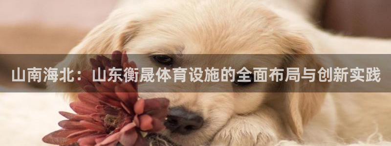 意昂体育4招商电话号码是多少：山南海北：山东衡晟体育设施的全