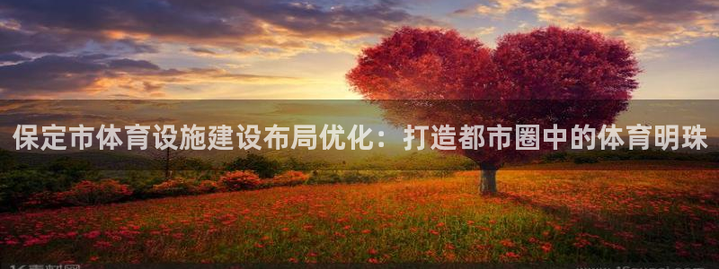 意昂4官方：保定市体育设施建设布局优化：打造都市圈中的体育明