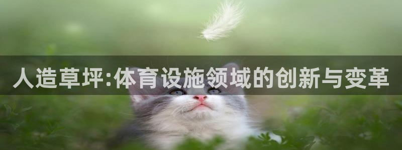 意昂体育4招商电话号码是多少：人造草坪:体育设施领域的创新与